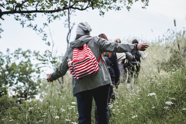 Forest Bathing a Giffoni Valle Piana - immagine 2